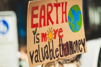 How many companies at COP29 back science-based climate policies