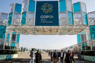 Meat, dairy, and pesticide lobbyists dominate climate summit discussions