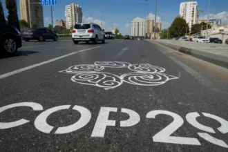 Protests continue over pro-Armenian US congressman at COP29