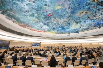 China deploys NGOs to deflect criticism at U.N. Geneva sessions
