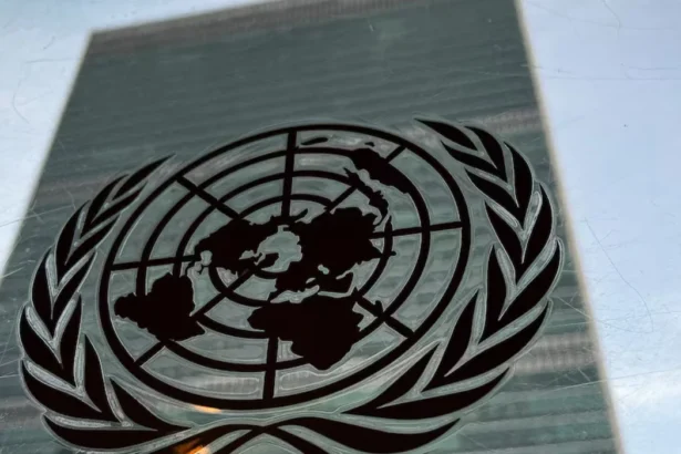 U.S. aid cuts threaten global vaccination efforts, UN warns