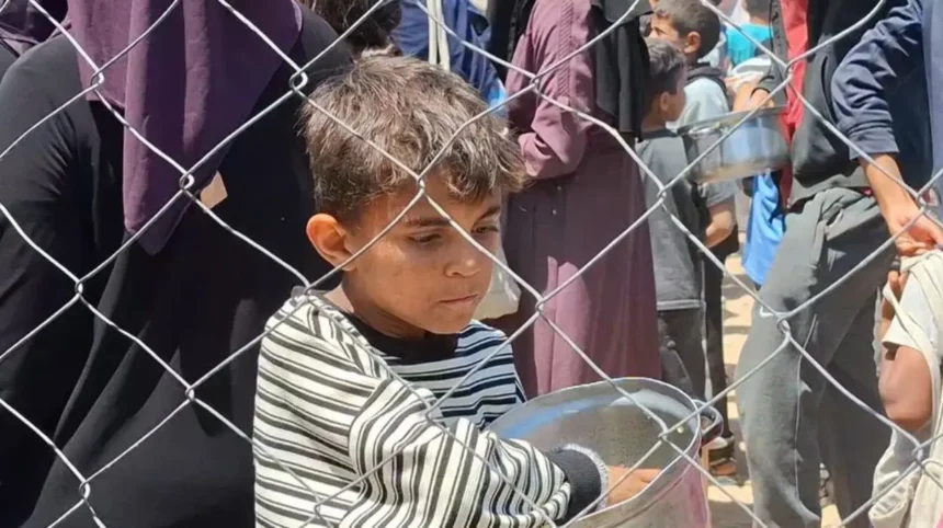 UN official slams Security Council inaction on Gaza amid famine and siege