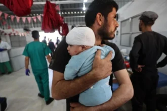 UN warns 14,000 babies in Gaza at risk of death within 48 hours without urgent aid