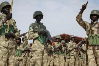 What the lifting of the UN arms embargo could mean for South Sudan
