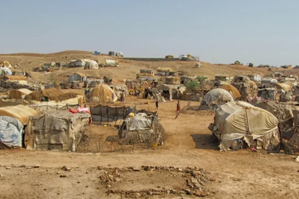 UNHCR Budget Cuts Threaten Refugee Support Amid Global Displacement Peak