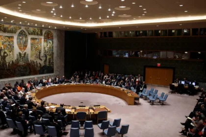 Bloc Politics in the UN General Assembly: Alliances and Influence