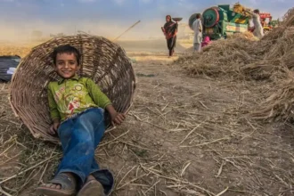 Bridging Business and Civil Society at Doha: New Strategies for Fairer Futures