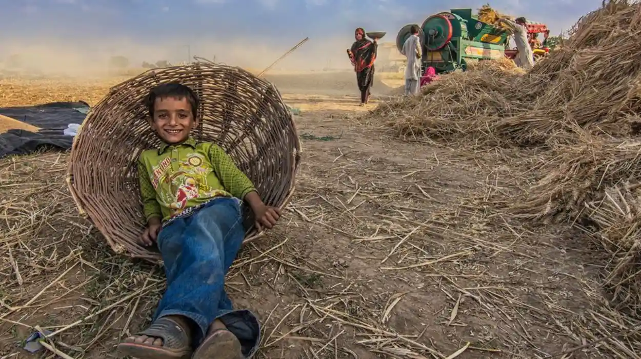 Bridging Business and Civil Society at Doha: New Strategies for Fairer Futures