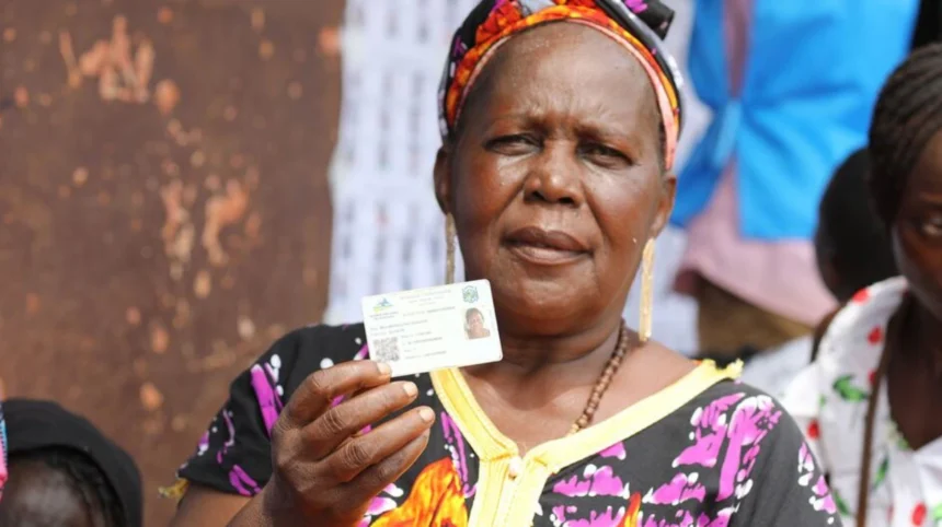 CAR Elections: Peace Milestone or Entrenched Power Grab?