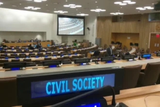 ECOSOC NGO Committee: A Gateway for Civil?Society Inclusion or Control?