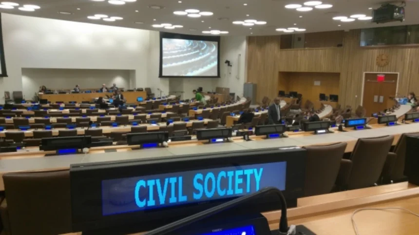 ECOSOC NGO Committee: A Gateway for Civil?Society Inclusion or Control?
