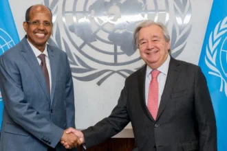 Financial Reforms and Debt Relief: Africa’s Development Potential Through Global System Change