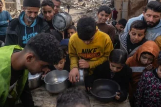 Gaza Children’s Dreams: Reconstruction Priorities Post-Ceasefire Trauma