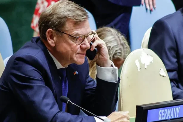 Germany Blames Russia for 'Bitter Defeat' in UN Security Council Seat Bid
