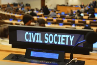Politics of Consultative Status: Which NGOs Get a Seat at the Table?