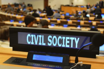 Politics of Consultative Status: Which NGOs Get a Seat at the Table?