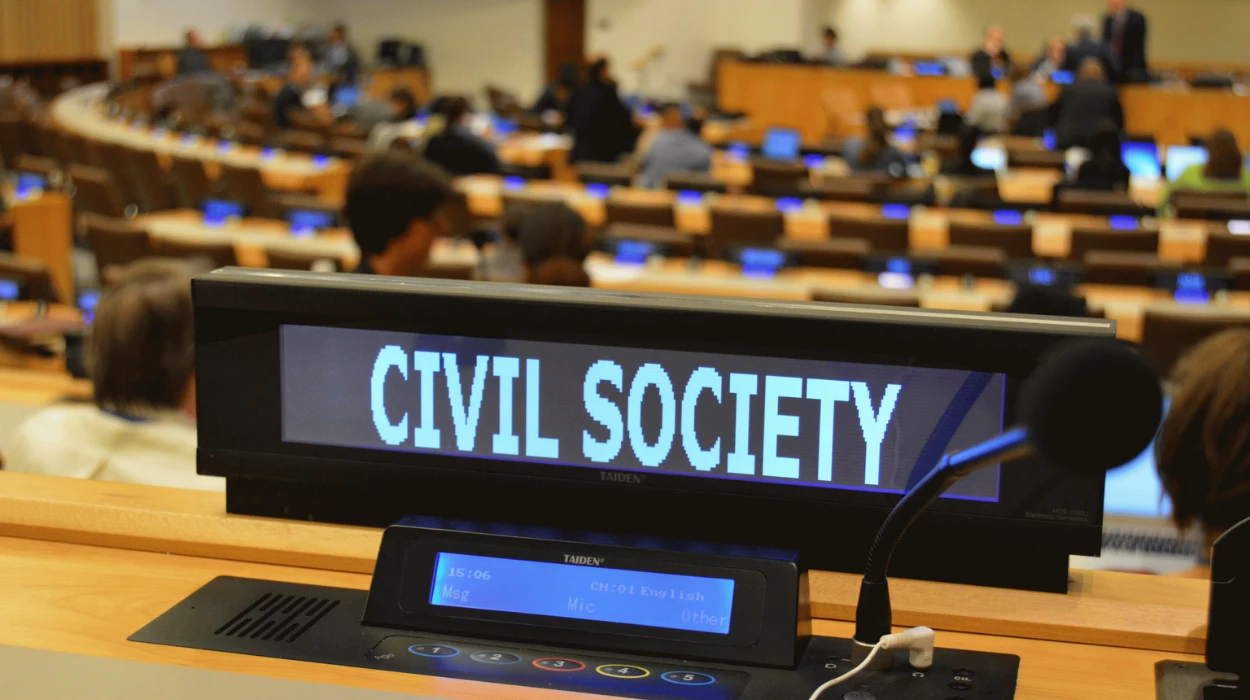Politics of Consultative Status: Which NGOs Get a Seat at the Table?