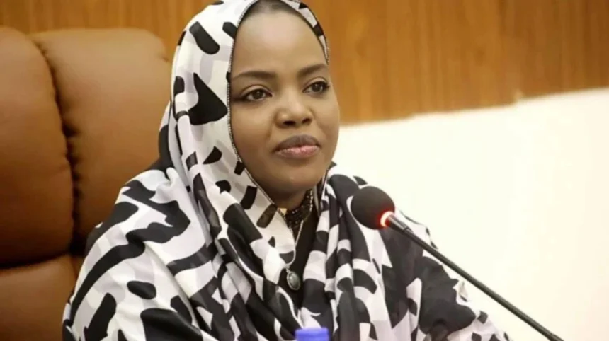 Sudan's UN Cooperation Pledge: Genuine Accountability or Conflict Deflection?