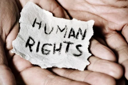 The Role of NGOs in UN Human Rights Advocacy