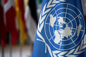 Transparency in UN Reporting: Strengths and Weaknesses