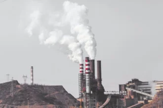 UN General Assembly Adopts Historic Climate Ruling Despite US Rejection