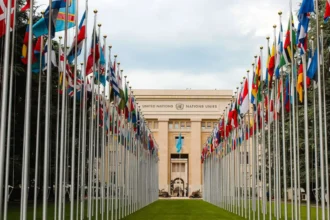 UN Reform: Addressing Transparency and Accountability Challenges
