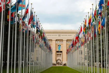 UN Reform: Addressing Transparency and Accountability Challenges