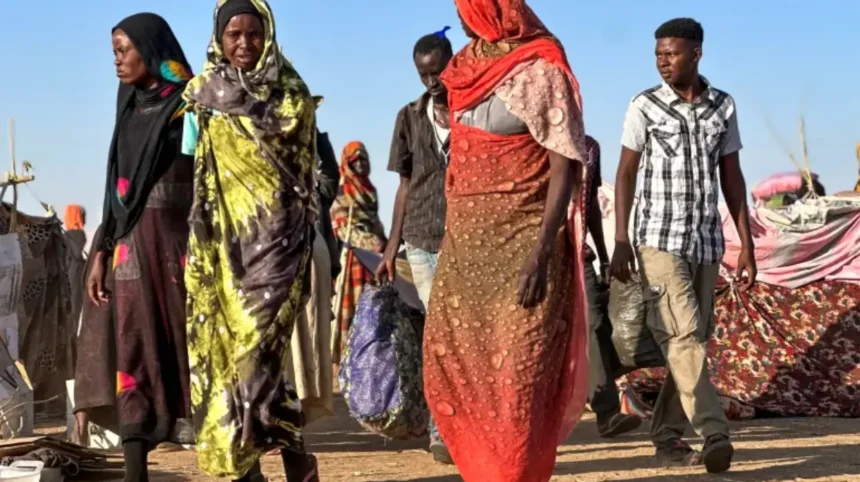 UN Sudan RSF Genocide Probe Finds Mass Killings and Gang Rapes in Darfur