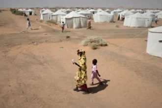 UN describes el-Fasher as ‘crime scene’ after rare access to RSF-held city