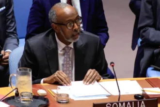 UNSC members link Israel’s Somaliland move to Gaza displacement fears