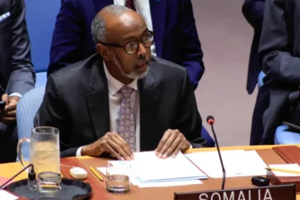 UNSC members link Israel’s Somaliland move to Gaza displacement fears