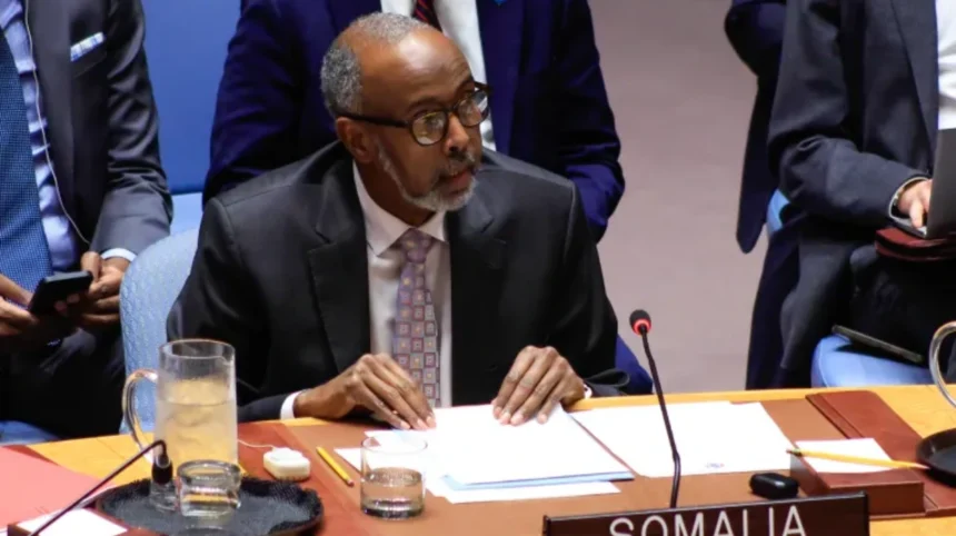 UNSC members link Israel’s Somaliland move to Gaza displacement fears