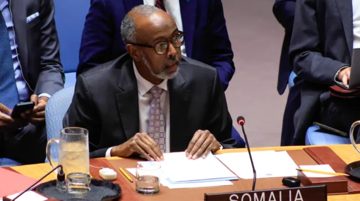 UNSC members link Israel’s Somaliland move to Gaza displacement fears