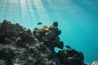 US urges nations to seek withdrawal of UN climate proposal