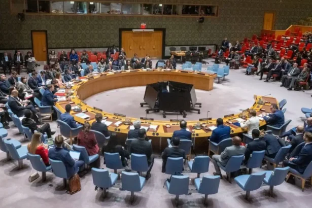 Ukraine War Diplomacy: UN Ceasefire Calls vs Russian Rejectionism