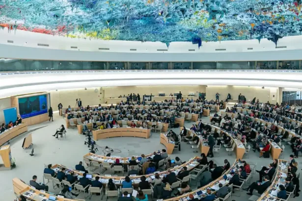 Universal Periodic Review: Successes and Shortcomings