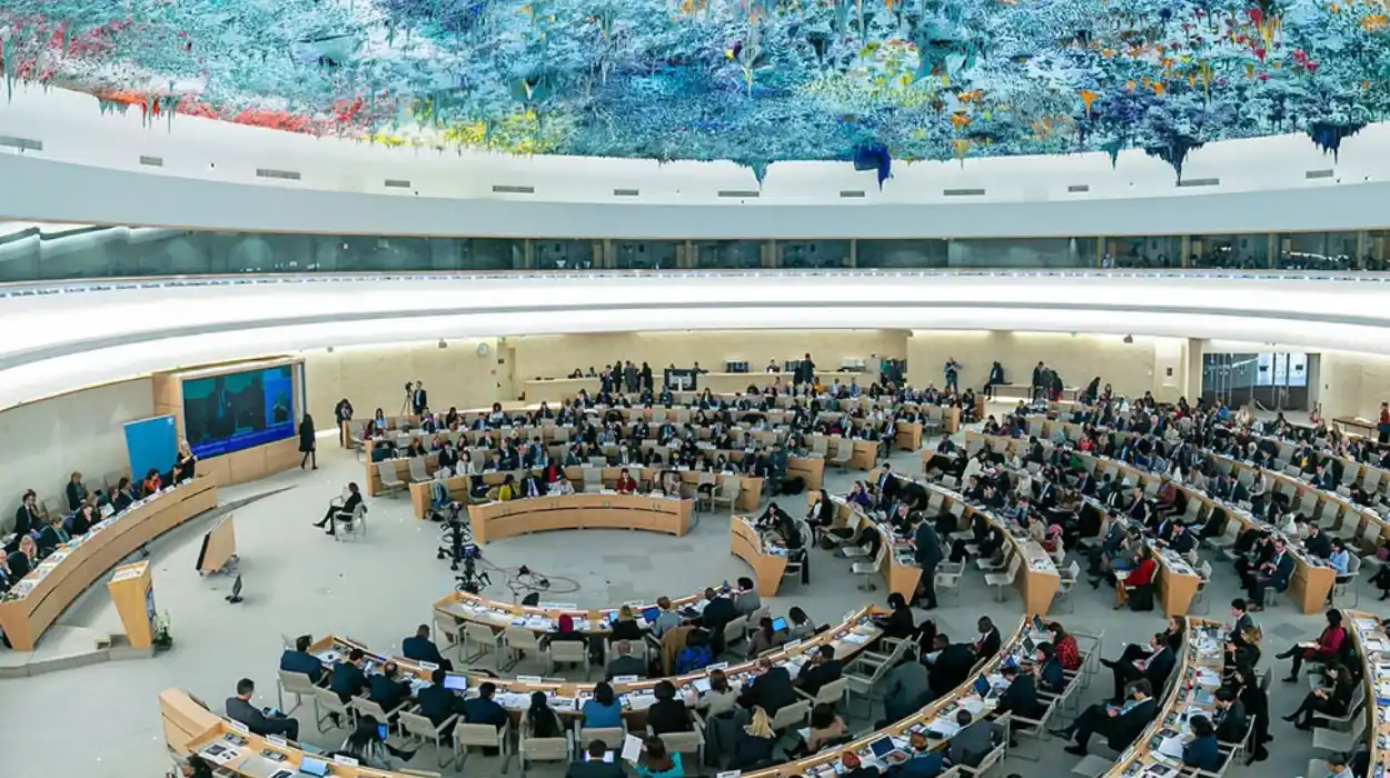 Universal Periodic Review: Successes and Shortcomings