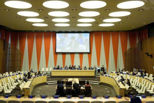 Why ECOSOC's NGO Committee Elections Demand Real Accountability Now?
